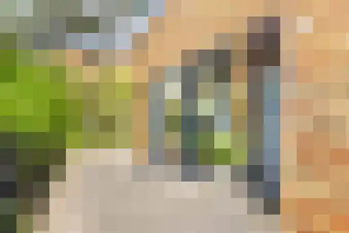 Lage Bos 31 IJmuiden thumbnail 11