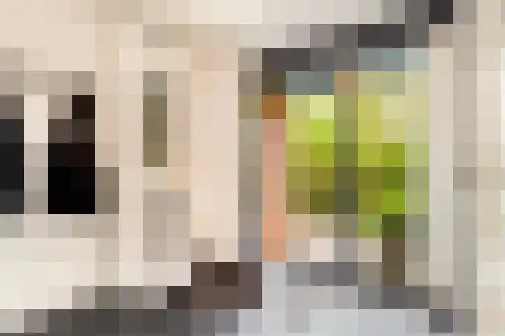 Lage Bos 31 IJmuiden thumbnail 13