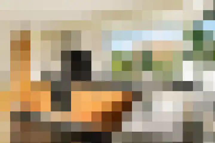 Lage Bos 31 IJmuiden thumbnail 24