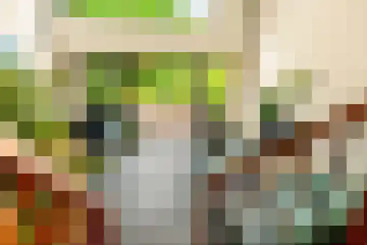 Lage Bos 31 IJmuiden thumbnail 28