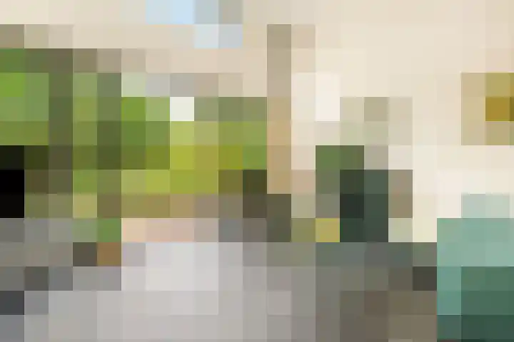 Lage Bos 31 IJmuiden thumbnail 30