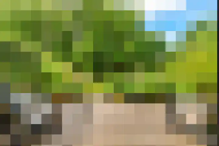 Lage Bos 31 IJmuiden thumbnail 31