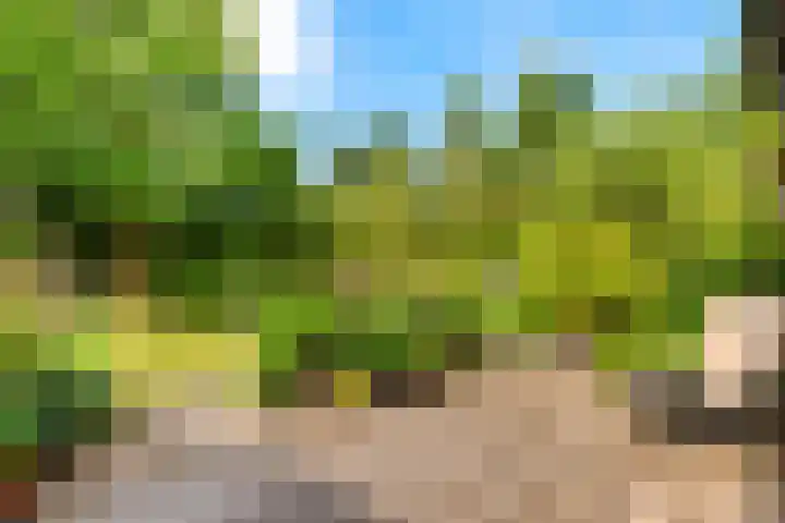 Lage Bos 31 IJmuiden thumbnail 33