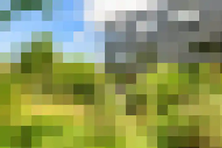 Lage Bos 31 IJmuiden thumbnail 35