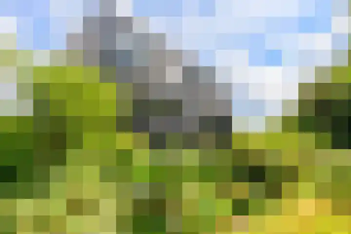 Lage Bos 31 IJmuiden thumbnail 36