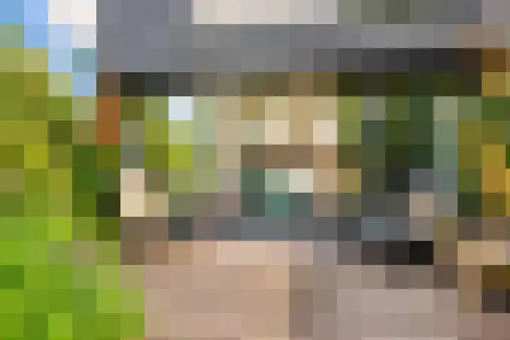Lage Bos 31 IJmuiden thumbnail 37