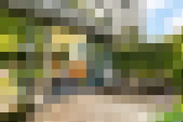 Lage Bos 31 IJmuiden thumbnail 38