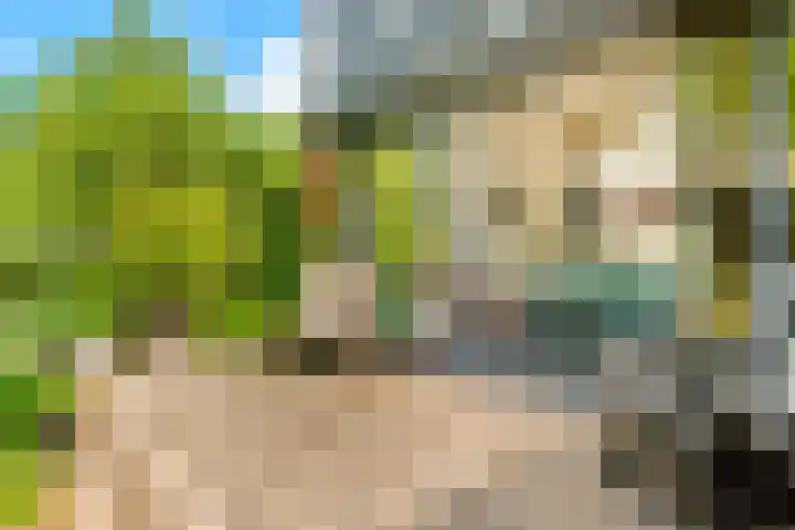 Lage Bos 31 IJmuiden thumbnail 39