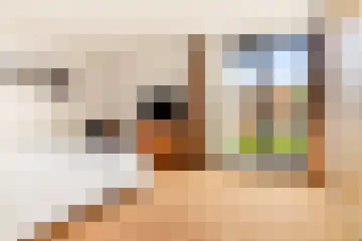 Lage Bos 31 IJmuiden thumbnail 44