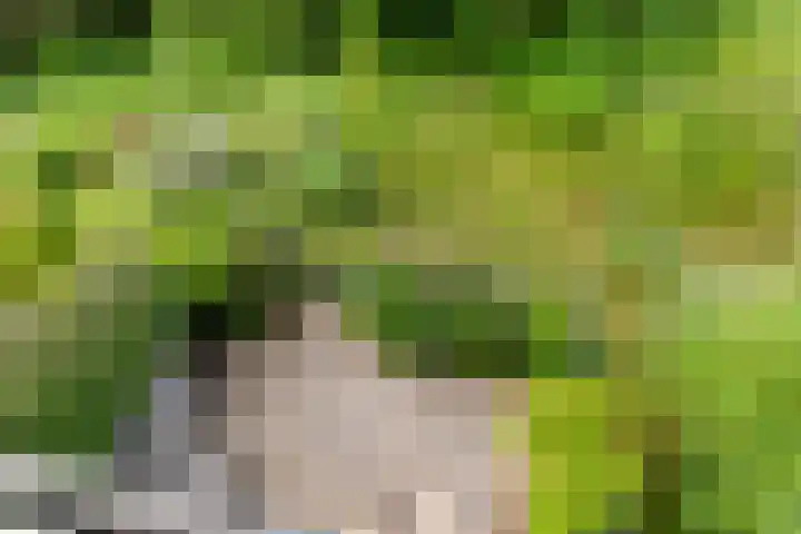 Lage Bos 31 IJmuiden thumbnail 53