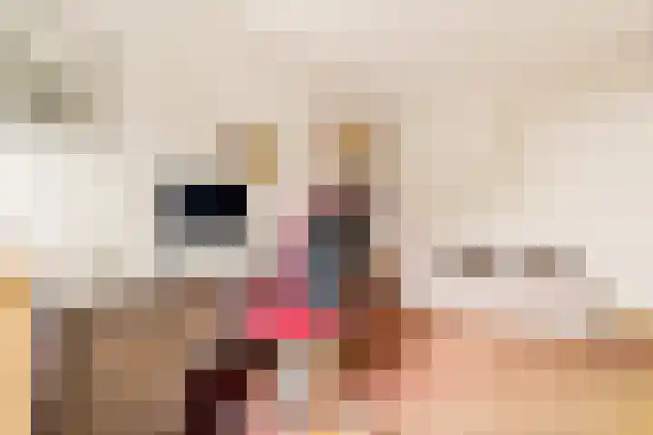 Lage Bos 31 IJmuiden thumbnail 54