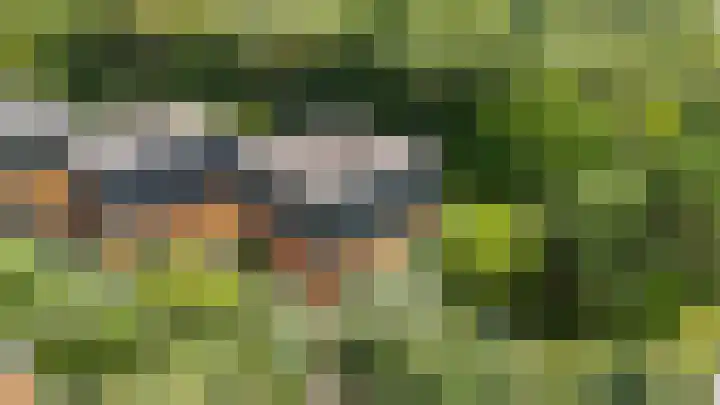 Lage Bos 31 IJmuiden thumbnail 6