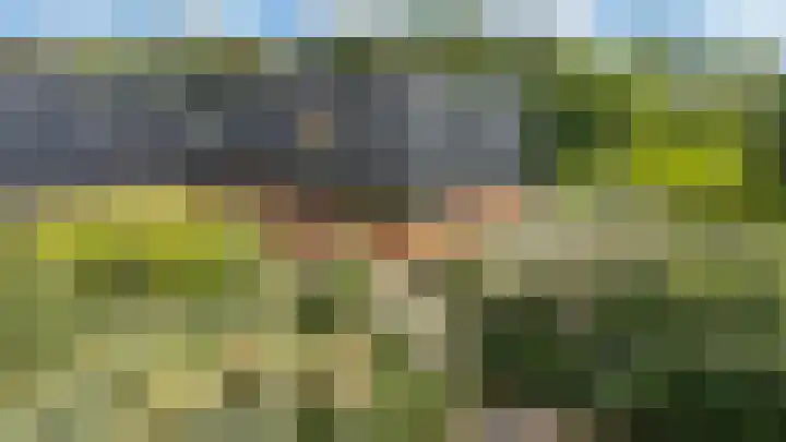 Lage Bos 31 IJmuiden thumbnail 7