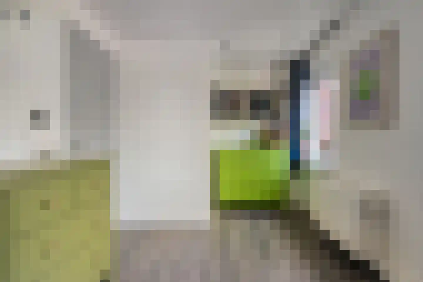 Lage Bothofstraat 414 Enschede thumbnail 29