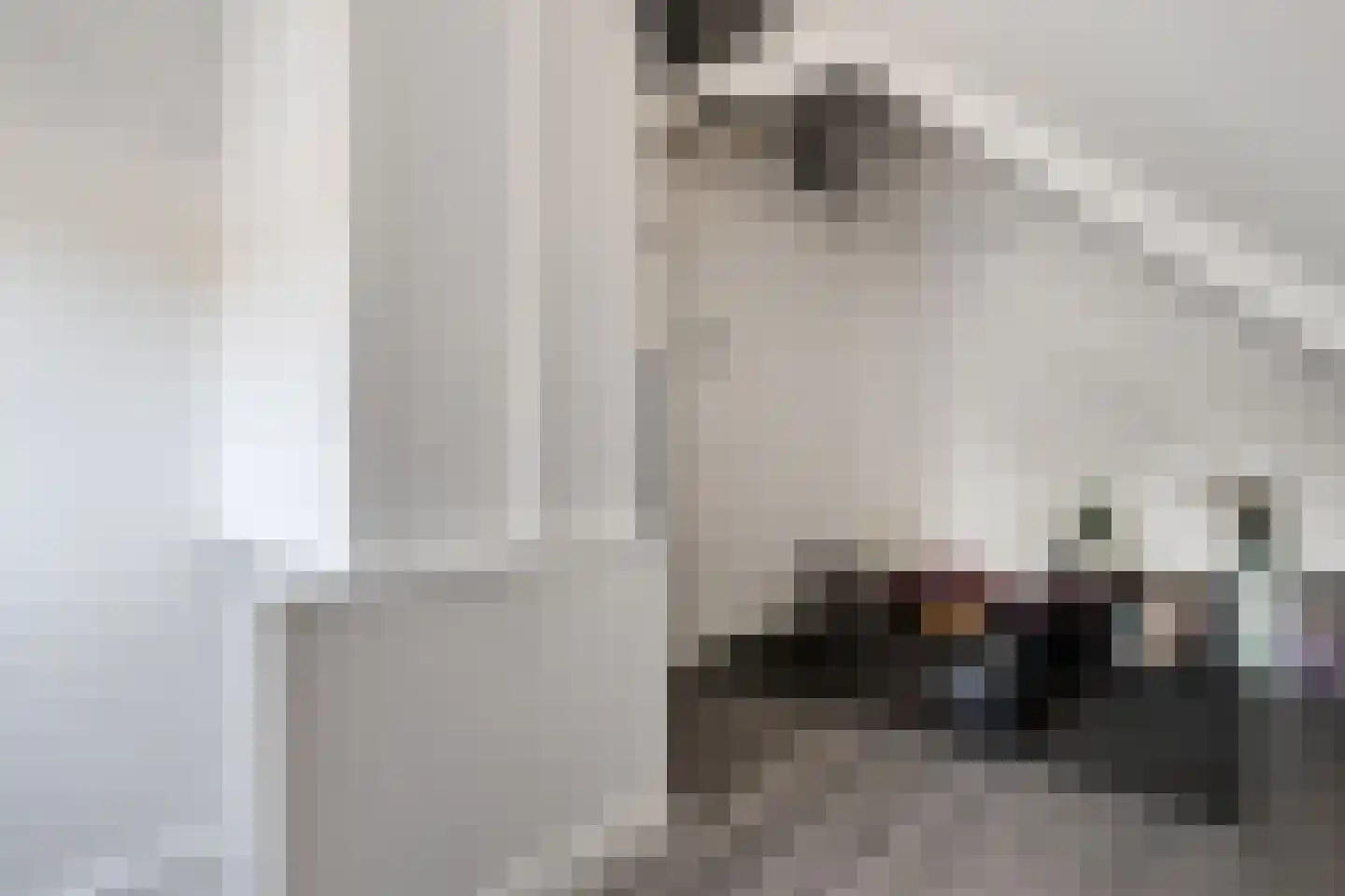 Lage Bothofstraat 414 Enschede thumbnail 33