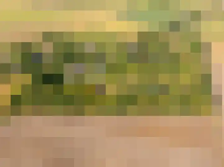 Lage Bremberg 36 Etten-Leur thumbnail 30