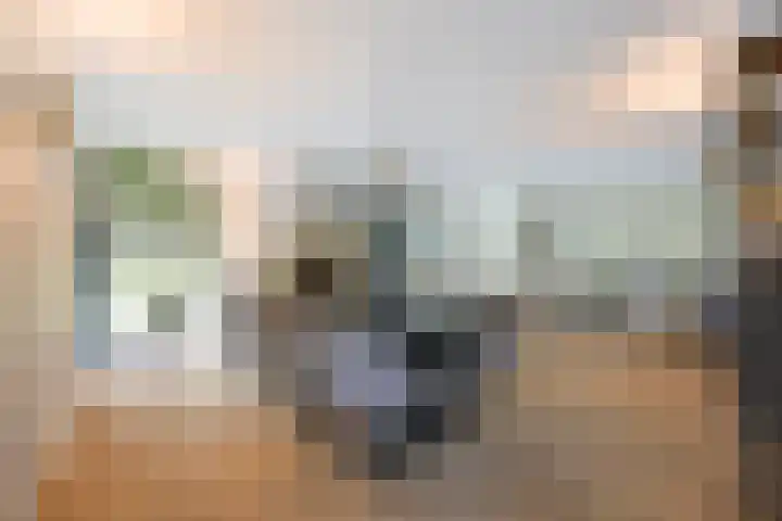 Lage Bremberg 36 Etten-Leur thumbnail 6