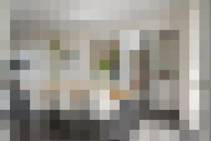 Lage Daalakker 12 Bavel thumbnail 17