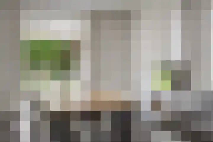 Lage Daalakker 12 Bavel thumbnail 18