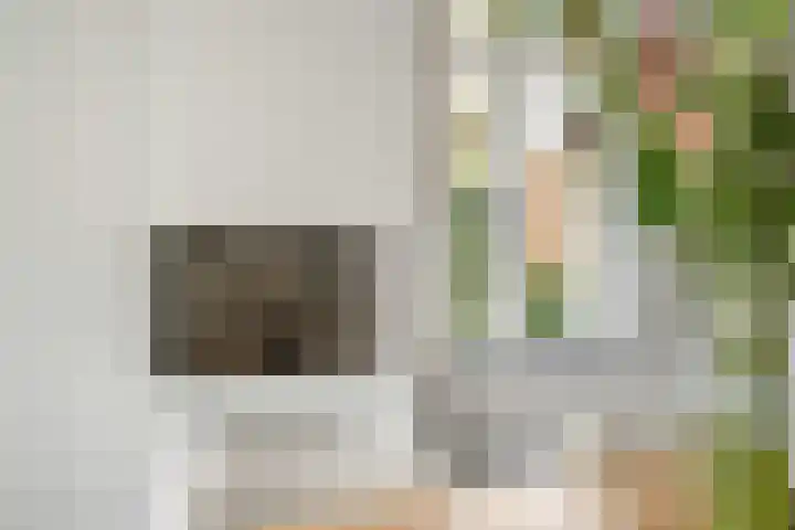 Lage Daalakker 12 Bavel thumbnail 19