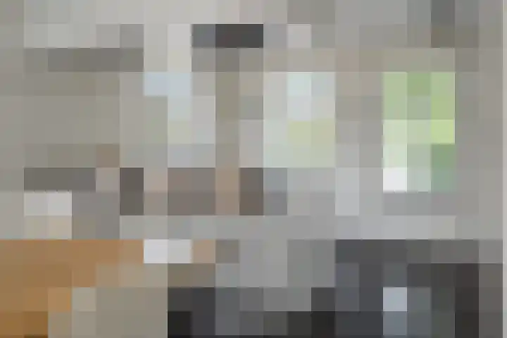 Lage Daalakker 12 Bavel thumbnail 20