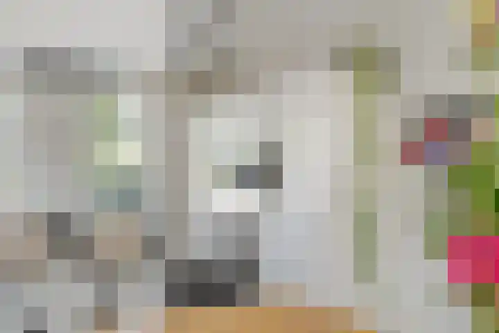 Lage Daalakker 12 Bavel thumbnail 21