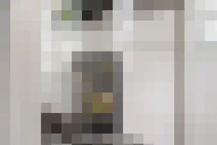 Lage Daalakker 12 Bavel thumbnail 23