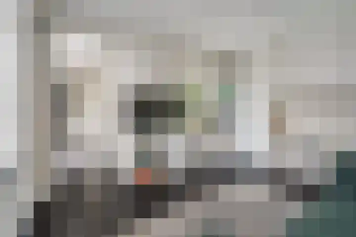 Lage Daalakker 12 Bavel thumbnail 25