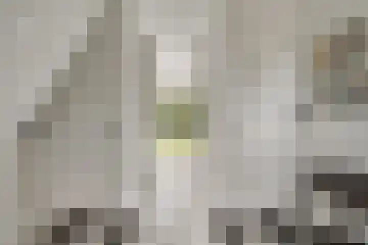 Lage Daalakker 12 Bavel thumbnail 28