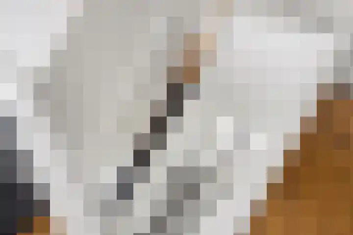 Lage Daalakker 12 Bavel thumbnail 29