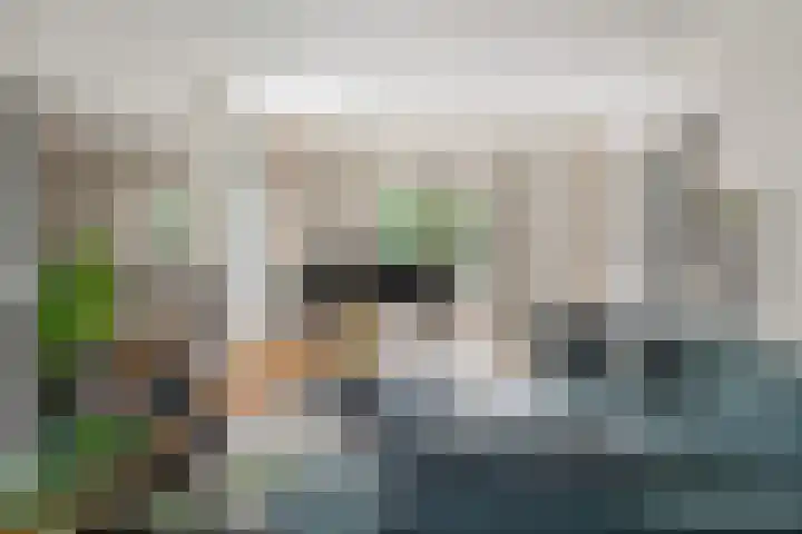 Lage Daalakker 12 Bavel foto 3