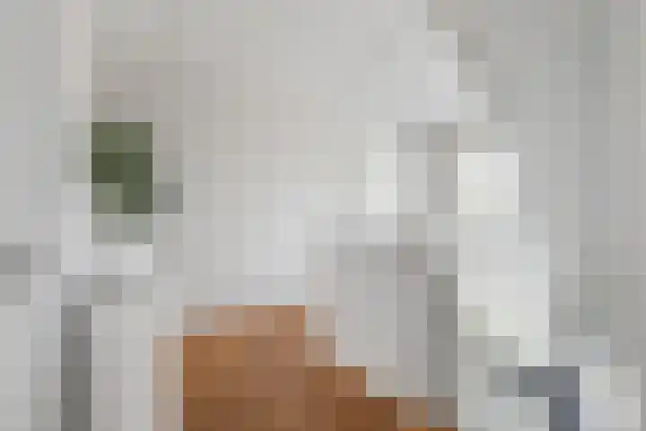 Lage Daalakker 12 Bavel thumbnail 30