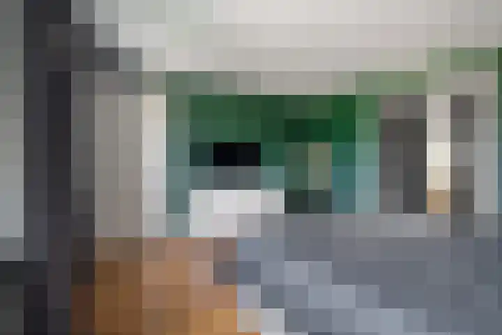 Lage Daalakker 12 Bavel thumbnail 32