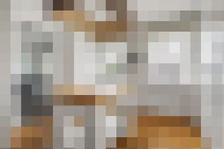 Lage Daalakker 12 Bavel thumbnail 33