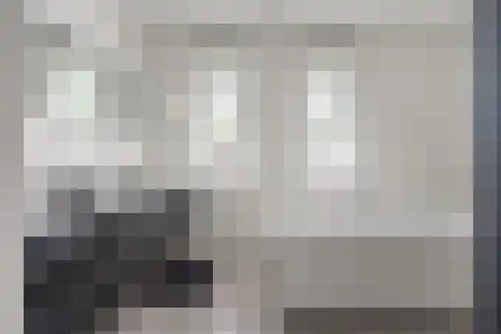 Lage Daalakker 12 Bavel thumbnail 35