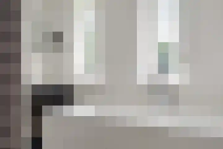 Lage Daalakker 12 Bavel thumbnail 36