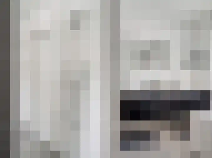 Lage Daalakker 12 Bavel thumbnail 39