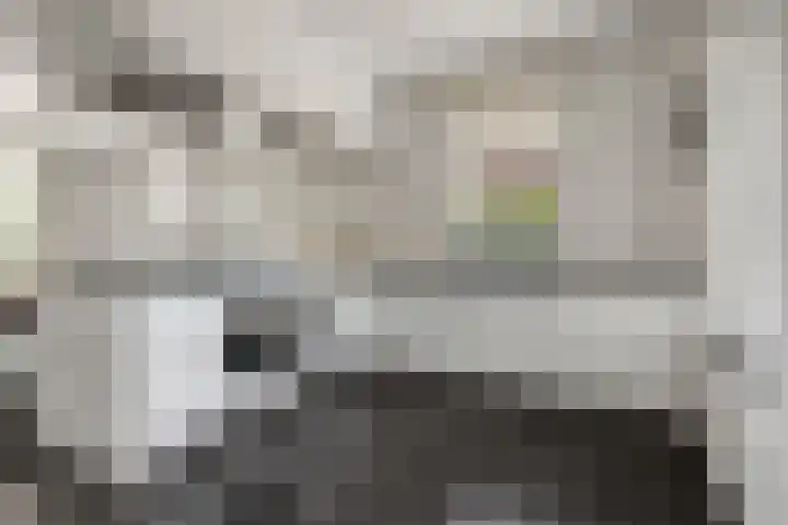 Lage Daalakker 12 Bavel thumbnail 4