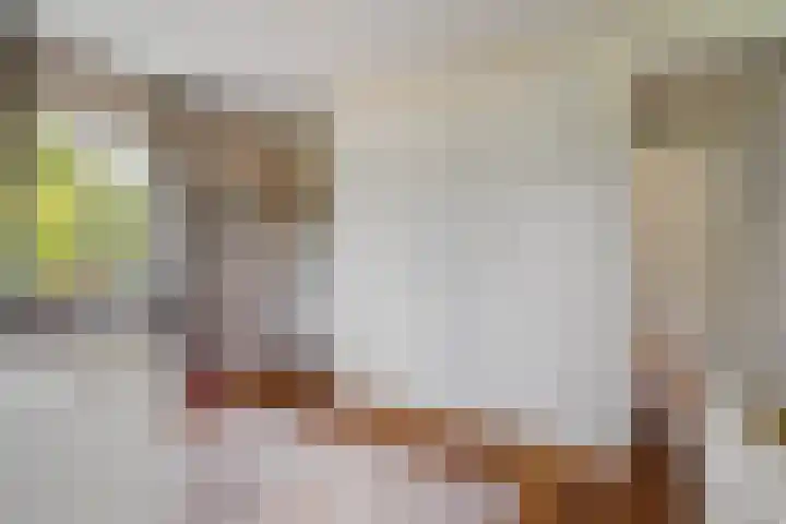 Lage Daalakker 12 Bavel thumbnail 42