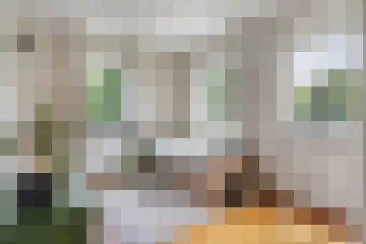 Lage Daalakker 12 Bavel thumbnail 45