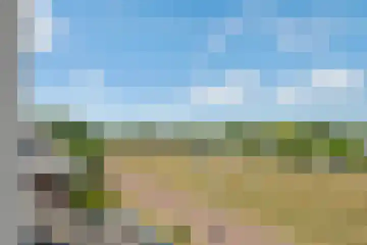 Lage Daalakker 12 Bavel thumbnail 51