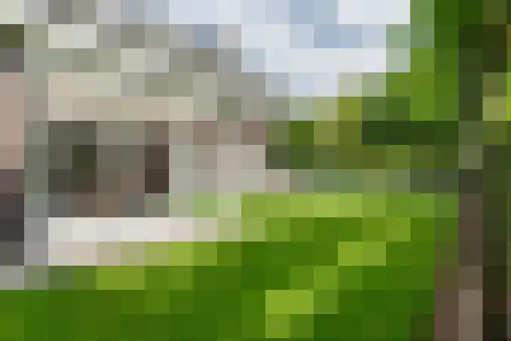 Lage Daalakker 12 Bavel thumbnail 56