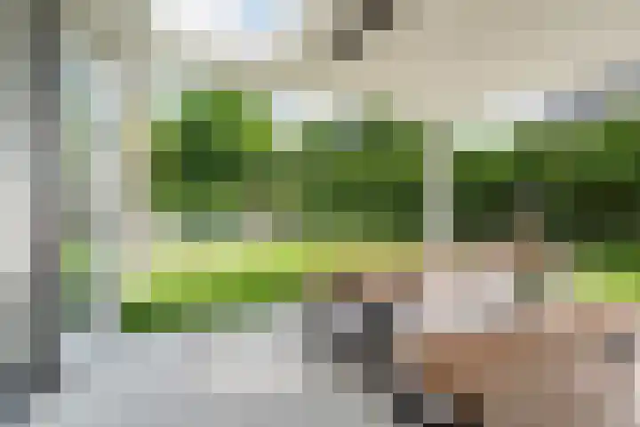 Lage Daalakker 12 Bavel thumbnail 58