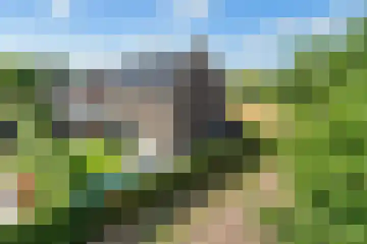 Lage Daalakker 12 Bavel thumbnail 61
