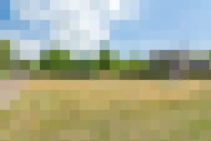 Lage Daalakker 12 Bavel thumbnail 66