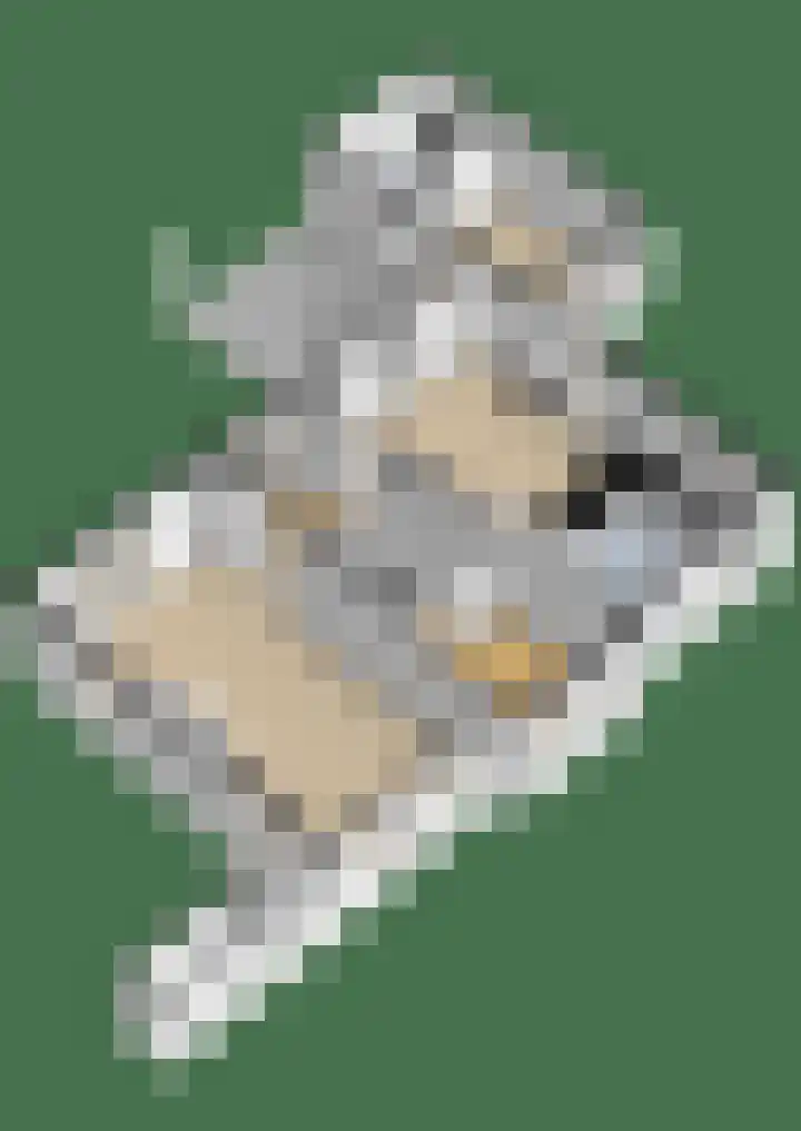 Lage Daalakker 12 Bavel thumbnail 69