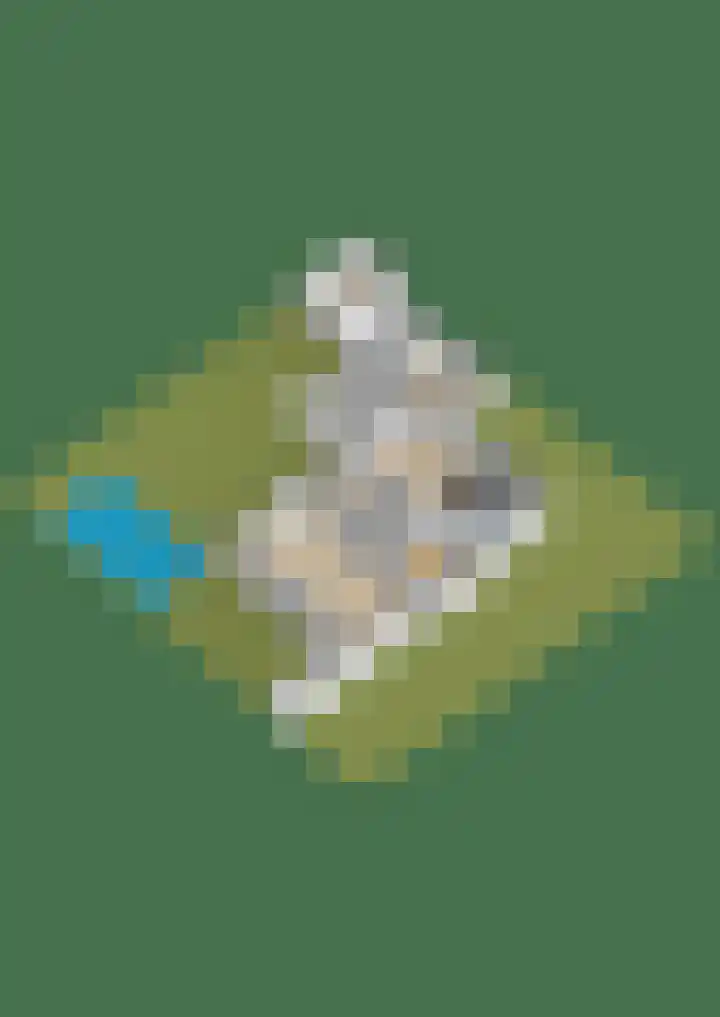 Lage Daalakker 12 Bavel thumbnail 75