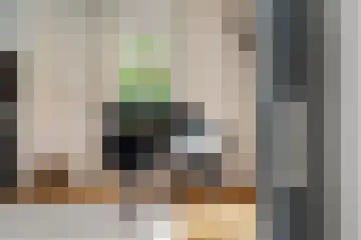 Lage Daalakker 12 Bavel thumbnail 8