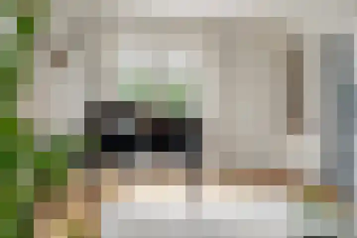 Lage Daalakker 12 Bavel thumbnail 9