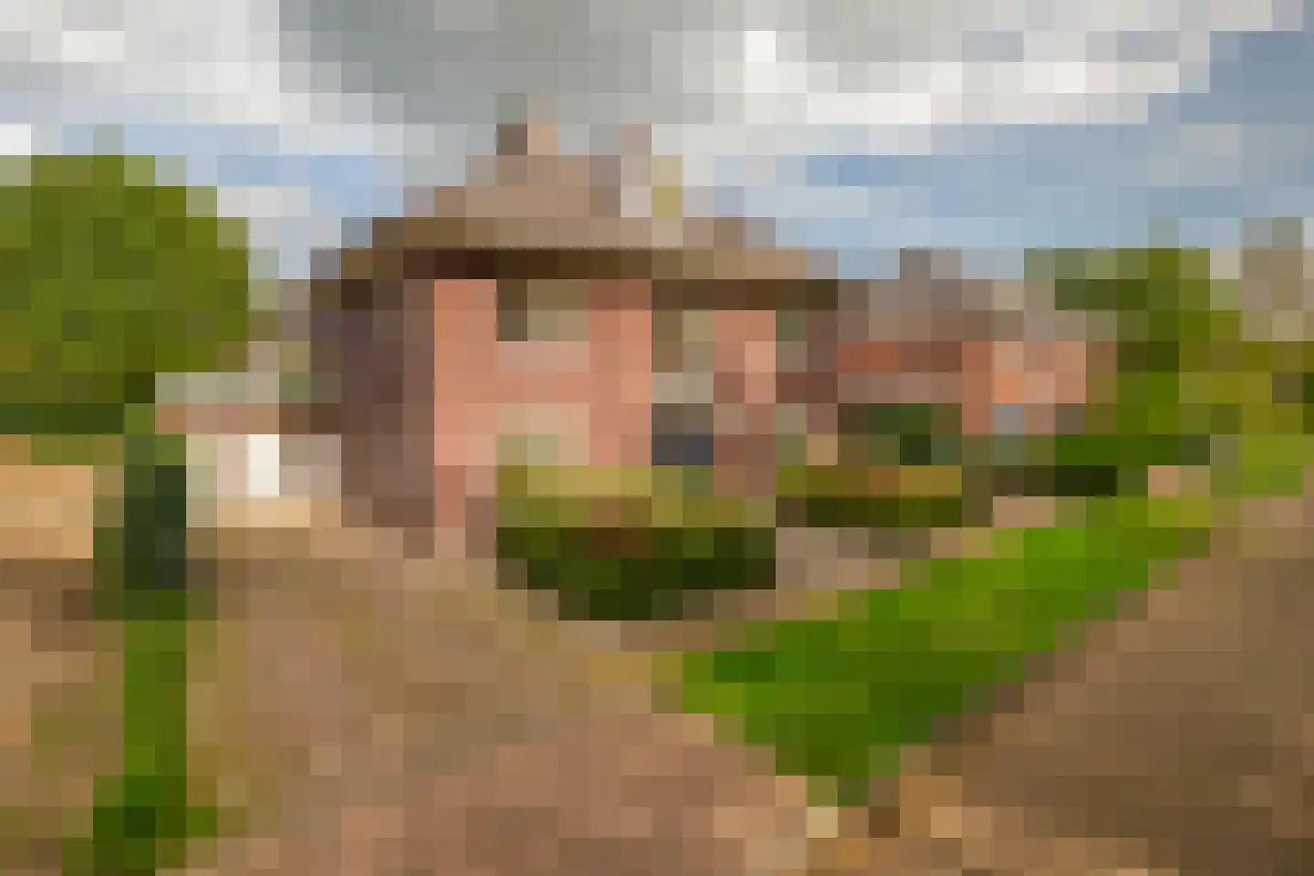 Lage Daalakker 16 Bavel